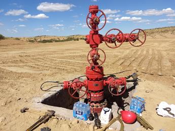 采氣樹、采油樹清洗與管道試壓兩用設(shè)備圖片4